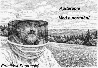 Apiterapie 1 - Med a poranění