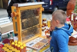 Nejdecká pouť se včelaři - podruhé  