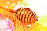 Jarního medu bude méně. Včelám ublížilo počasí i nešetrné postřiky polí