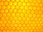 Pozvánka - Zimní včelařská konference o vosku