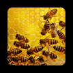 Praktické aplikace pro včelaře – Deník včelař 